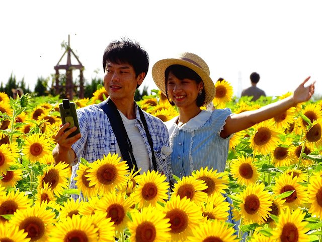 🌸 이즈미 리사이클 환경 공원(이즈미 리사이쿠루 칸쿄 코엔) 이미지 5